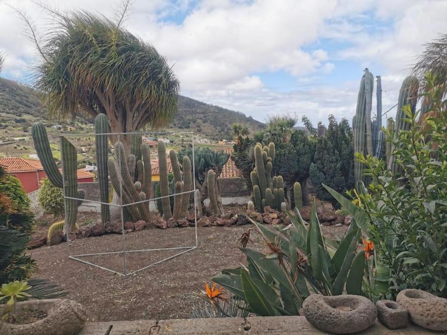 Los Cactus Santa Cruz de Tenerife Exterior photo